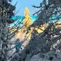 The Snow