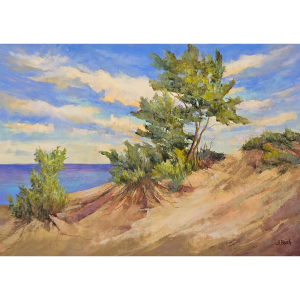 <i>Sleeping Bear Dune Overlook #10</i> Note Cards