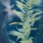 Cyanotype – Camera-less Photography! 1