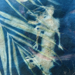 Cyanotype – Camera-less Photography! 3