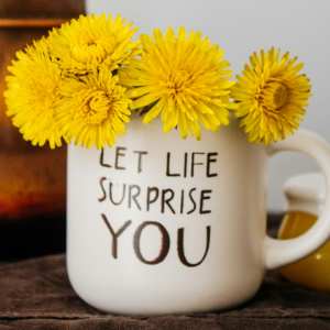 Creative Wellness Monthly Gathering - May 2026