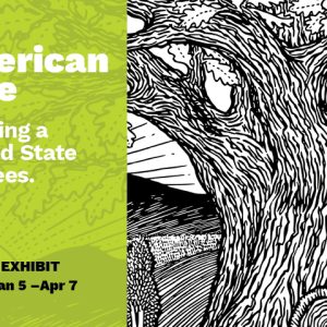 American Tree Application Fee