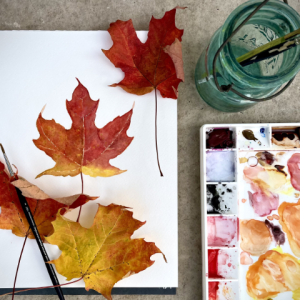 Watercolor Skill Building: Autumn Leaf Study