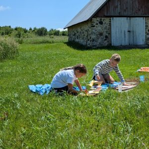 Big Lake Big Color: A Michigan Watercolor Journey
