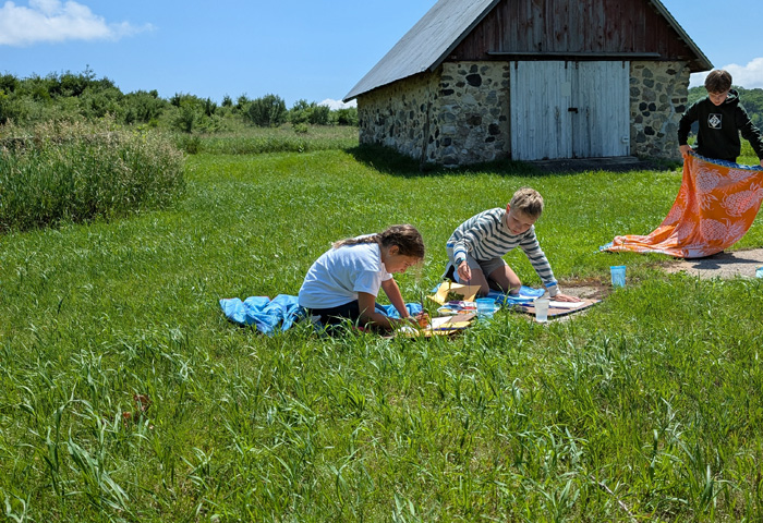 Big Lake Big Color: A Michigan Watercolor Journey