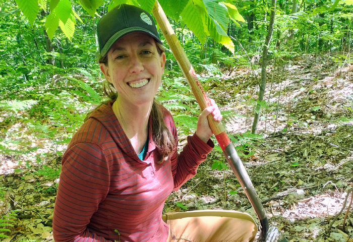 Leelanau’s Old Growth Forests: Living History