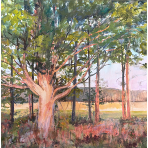 <i>American Maple</i><br>Claudia Buchmann
