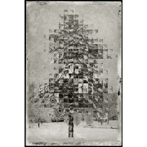 <i>Exophora</i><br>Porter Gifford