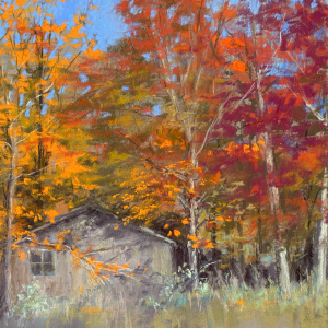<i>Hidden Gem</i><br>Janet Kohler
