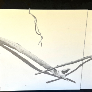 <i>Cradle</i><br>Joan Richmond