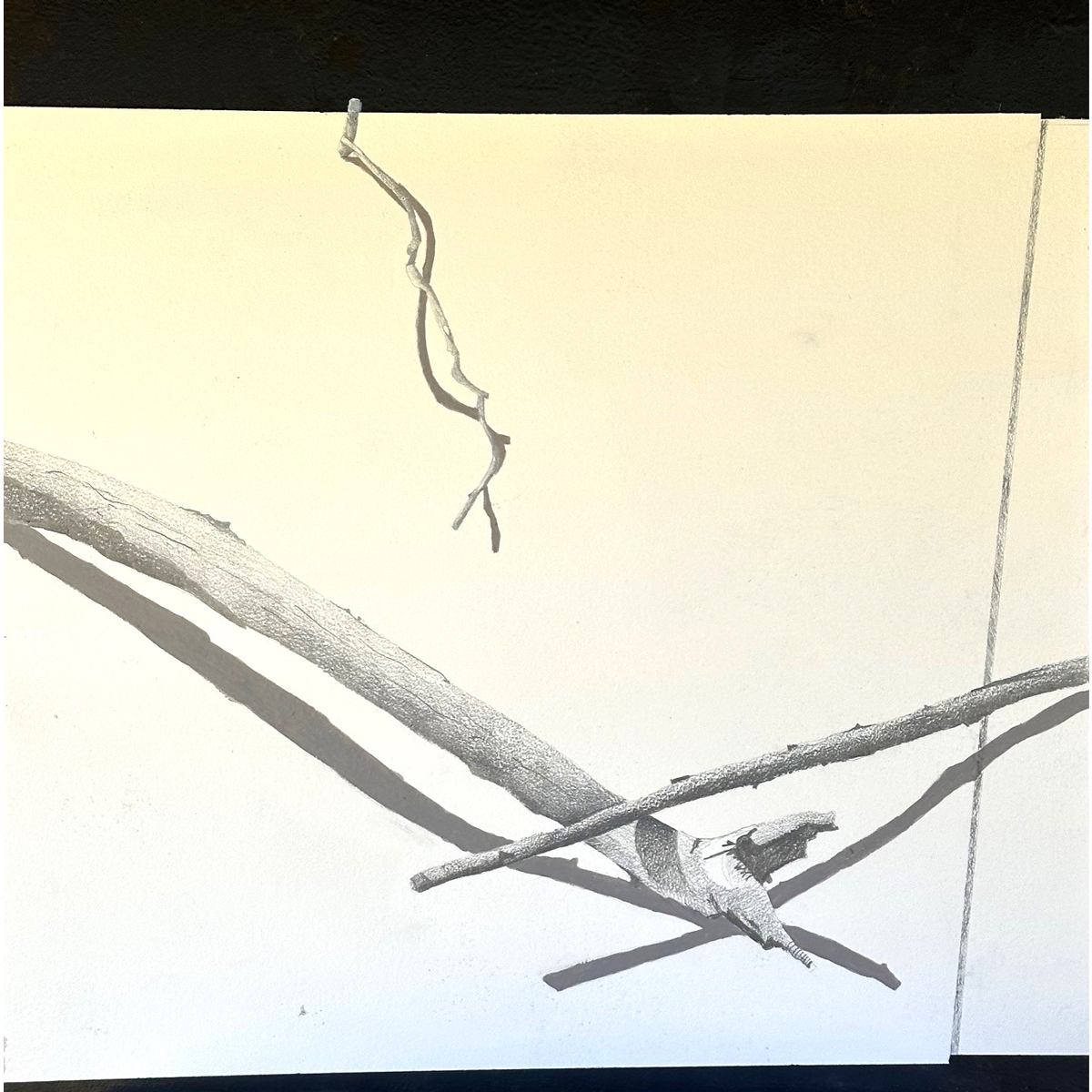 <i>Cradle</i><br>Joan Richmond