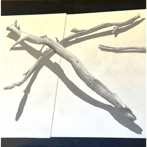 <i>Reach</i><br>Joan Richmond