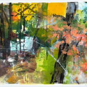 <i>Forest Light</i><br>Angela Saxon