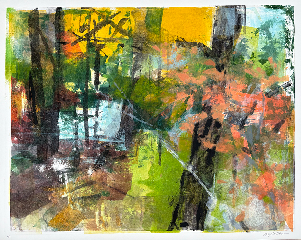 <i>Forest Light</i><br>Angela Saxon