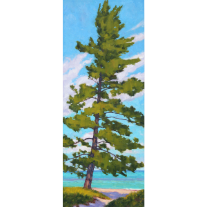 <i>Tall White Pine</i><br>David Westerfield