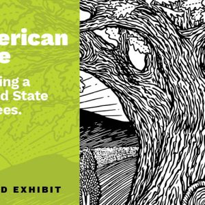 Exhibit: American Tree